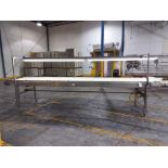 A&B PACKING CTL4218 INSPECTION CONVEYOR W/ LIGHT