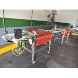 A&B PACKING BLUEBERRY DUAL SIZER W/ DOUBLE OUTFEED CONVEYOR