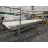 A&B PACKING CTL4218 INSPECTION CONVEYOR W/ LIGHT
