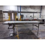 A&B PACKING CTL4212 INSPECTION CONVEYOR W/ LIGHT