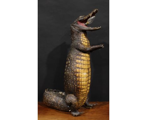 Taxidermy - a caiman alligator, novelly fitted as a lamp, 71.5cm high