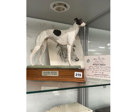 AN ALBANY FINE CHINA LIMITED EDITION MODEL OF THE GREY HOUND WESTMEAD PARK TOGETHER WITH A PRINT OF THE DOGS HEAD