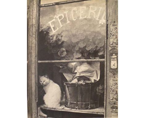 Artist: Brassai [gyula halasz] (Hungarian/French, 1899-1984). Title: "Chat blanc de l'epicerie". Medium: Original vintage pho
