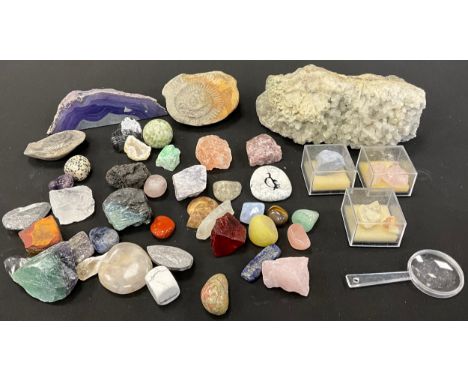 Specimen stones Fossils etc in ammonite, rose quartz, etc qty