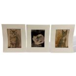 Unleserlich signiert, 3 Aquarelle Katze