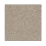 38 BXS H200 GREY WALL & FLOOR TILES 30X30CM.