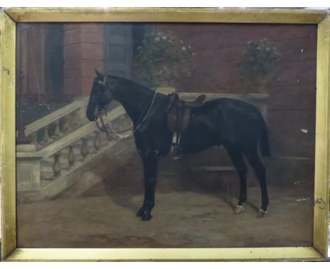 William Josiah Redworth (1873-1947) ''Sam'' Portrait of a black horse, signed and dated July 1901, signed, dated and extensiv