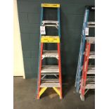(2) Werner Fiberglass Ladders