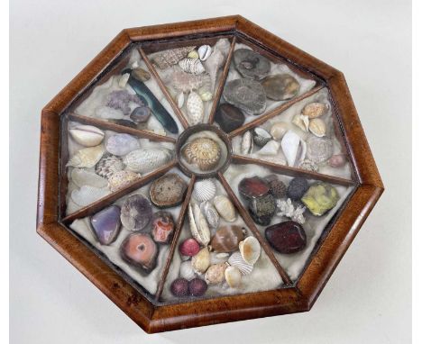 19TH CENTURY GLASS DISPLAY CASE OF SHELLS &amp; MINERALS walnut encased, of octagonal form with lift-off glass cover and with