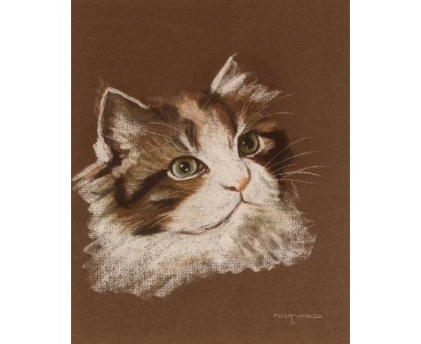 Peter Ward, study of a cat, signed crayon, 30cm x 25cm; and H.M.Sutton, pencil head and shoulders portrait sketch, signed and