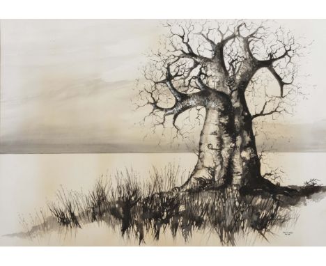 John R Harris (20th Century) Study of a tree, signed and dated 1976, watercolour and ink, 54cm x 75cm