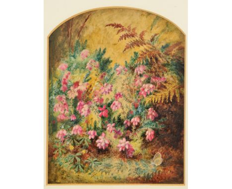 Albert Durer Lucas (British, 1828-1918) Pink bell heather, signed and dated 1872, inscribed Erica Tetralix, watercolour, 23cm