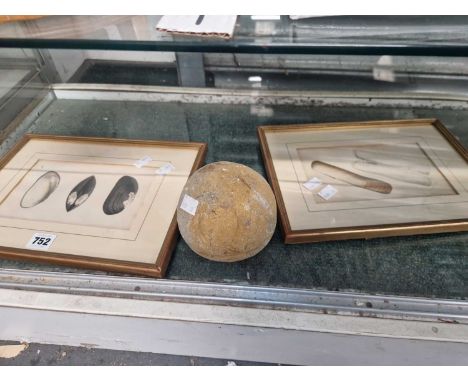 A framed print of razor shells, another of mussels together with a spherical stone weight