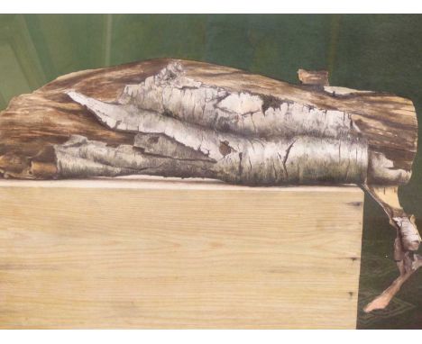 Phillip Von Schantz. Swedish School (20th Century) Limited Edition Print Depicting A Silver Birch Log On A Pine Box, Indistin