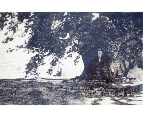 Sinclair.  The *** Tree, dry point etching, signed in pencil and titled, plate size 19cm x 29cm.