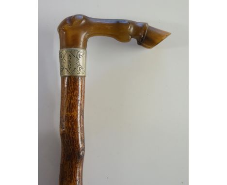A late Victorian / Edwardian walking stick, the horn handle carved as a horse's leg from the knee joint down metal collar eng