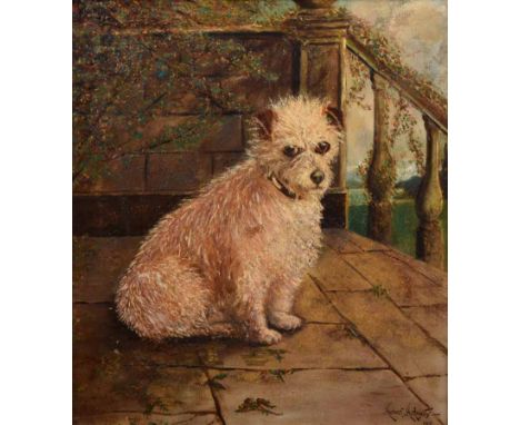 Herbert St. John Jones (1872-1939),   "Bob" - portrait of a terrier, signed and dated 1901, oil on canvas, 44 x 39cm, 17.25 x