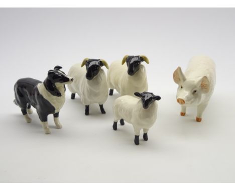 Two Beswick black faced sheep No.1765, black faced lamb 1828, white boar No. 1453A and a sheep dog No. 1854 Condition Report 