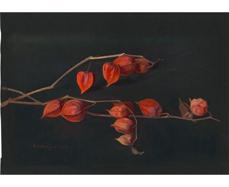 Honegger, Karl Lukas -- Zweig einer Lampionblume (Physalis alkekengi) vor dunklem Grund.Gouache über Spuren von rotem Stift a