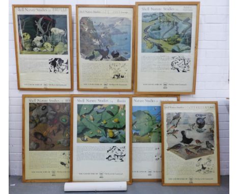 Set of seven framed vintage Shell Nature posters together with five unframed posters, (12) 