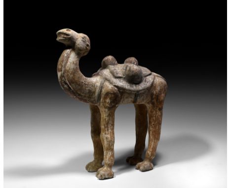 Tang Dynasty, 618-907 AD or later. A ceramic standing Bactrian camel figure, wearing saddle cloth and carrying baggage, neck 