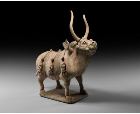 Tang Dynasty, 618-907 AD. A substantial ceramic bull figure modelled standing on a rectangular base, head raised and held for