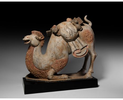 Tang Dynasty, 618-907 AD. A ceramic Bactrian camel shown kneeling on an integral rhomboidal base, hindlegs in standing positi
