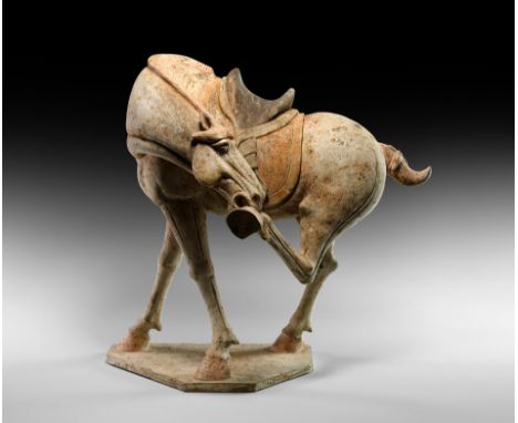 Tang Dynasty, 618-907 AD. A beautiful terracotta horse standing on three legs upon a flat trapezoidal base, beautifully decor