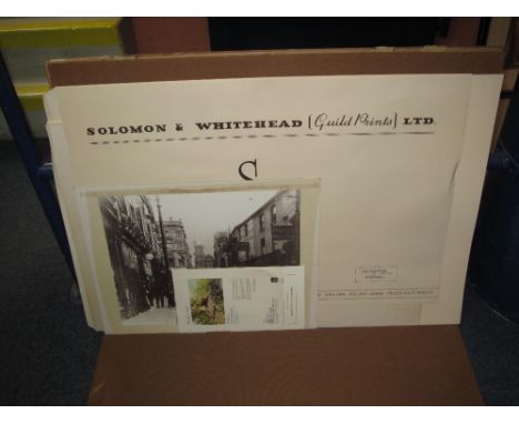 After David Shepherd, limited edition coloured print, 'The Sentinel', unframed, with certificate.
