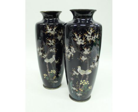 A pair of Japanese cloisonné vases decorated with birds amongst blossoming foliage on a deep blue ground 24.5 cm high CONDITI