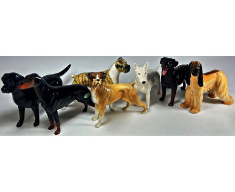 Seven ceramic figures of Beswick and Royal Doulton dogs in various poses including a Black Labrador, two Boxers and Afghan, e