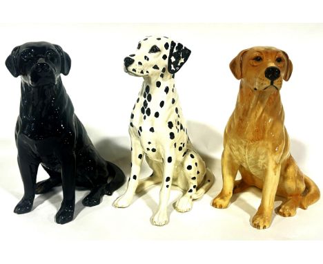 Three large ceramic models of seated dogs to include a Beswick model of a black Labrador, a Beswick Dalmatian and a Royal Dou