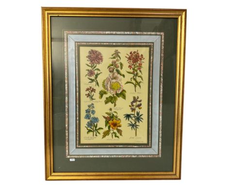 After John Hill – A hand-coloured botanical illustration print, frame dimensions: 84 x 68 cm