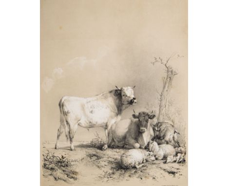 COOPER, T. S - Thirty Four Subjects of Cattle &c : Frontis, title-page, 32 tinted lithograph plates, cont. half morocco rubbe