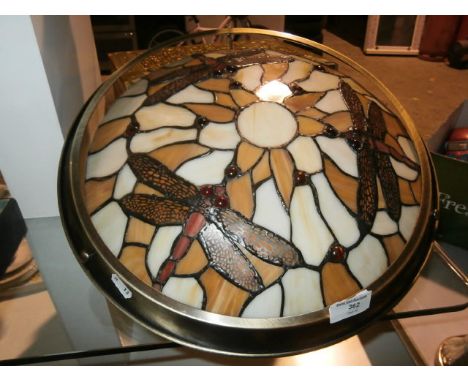 Center light fitting depicting dragon fly