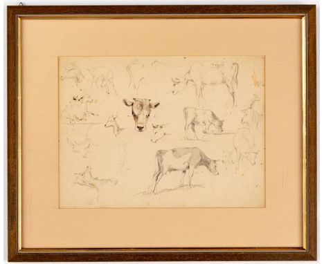 Eugène Etienne SORDET (1836-1915) Tier-StudienBlei-und Buntstift auf Papier, beidseitig bemaltLichtmass: 22 x 29 cm, Rahmen: 
