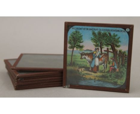 A boxed set of Jack and the Beanstalk coloured magic lantern slides. The box 9 cm wide.