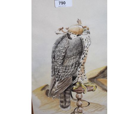 Christopher M. Lee, watercolour, bird of prey, two other watercolours, woodpeckers, another of a wren and six small framed pr