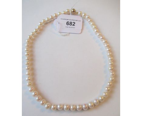 Single row of white cultured pearl necklace with a 9ct yellow gold ball clasp 