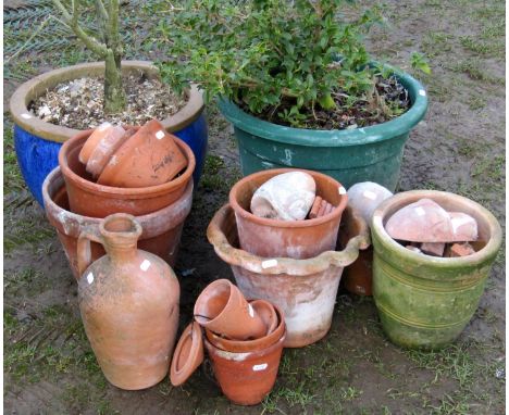 A contemporary blue glazed squat circular oviform planter (planted) together with a small quantity of terracotta flower pots 