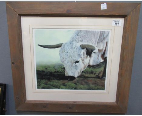 Andrew Evans, Welsh contemporary, Dougie, study of a white park bull. Print. Signed in pencil by the artist. Framed and glaze