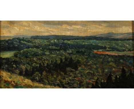 {Friedrich Wilhelm Mook. 1888 - 1944.} Sign. und 1908 dat. Verso sign. und bet. "Bei Bad Nauheim". Hügelige Waldlandschaft. Ö
