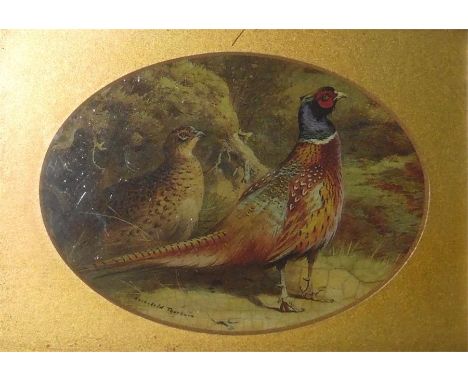 After Archibald Thorburn  Varnish colour print Pheasants   