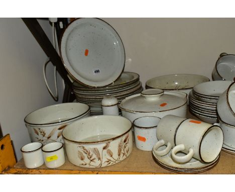 A SHELF OF DENBY POTTERY AND MIDWINTER STONEWARE, including a Denby advertising plaque, Denby Cheuron dinner wares, Denby mug