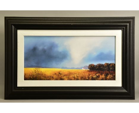 BARRY HILTON (BRITISH 1941) 'SHADES OF DAWN', a limited edition print of a landscape 88/195, signed with certificate, approxi