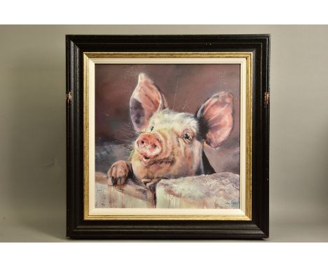 DEBBIE BOON (BRITISH CONTEMPORARY) 'PIG TALE', a limited edition print of a jovial pig, 69/195, signed bottom right with cert