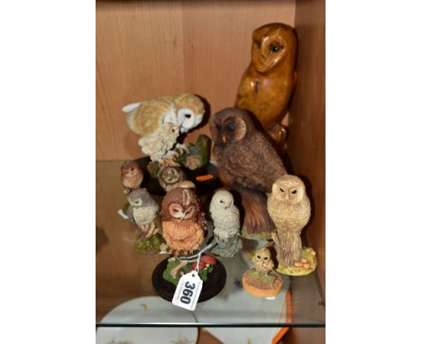 A COLLECTION OF ELEVEN MODERN CERAMIC AND RESIN SCULPTURES OF OWLS, two on wooden plinths, includes Royal Doulton, Country Ar