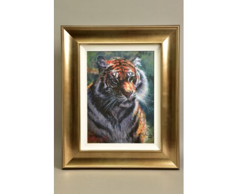 ROLF HARRIS (AUSTRALIA 1930) 'TIGER IN THE SUN', a limited edition print 40/195, signed bottom right with certificate, approx