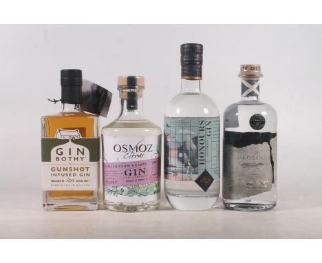 Four bottles of gin to include PEEBLES HYRDO Honours gin 57% abv. 70cl, THE GEOLOGIST Highland dry gin 41% abv. 70cl, GIN BOT