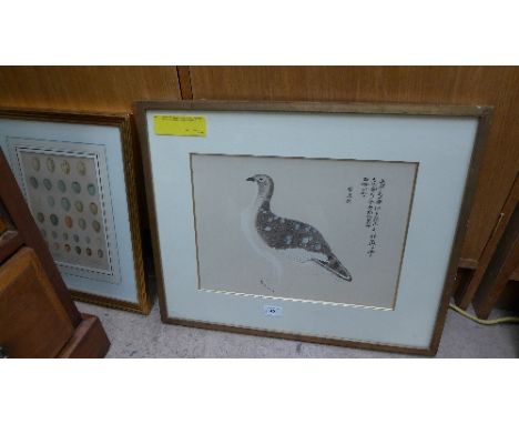 A colour print depicting exotic bird and a print of collection of bird eggs framed and glazed